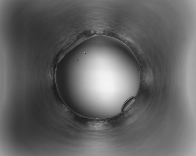 X0000089900661200707051309
