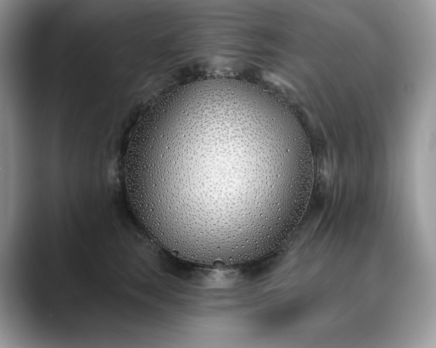 X0000089900663200707051309