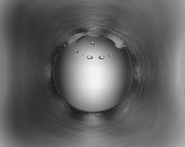 X0000089900664200707051309