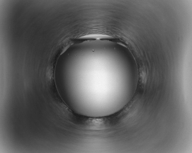 X0000089900665200707051309
