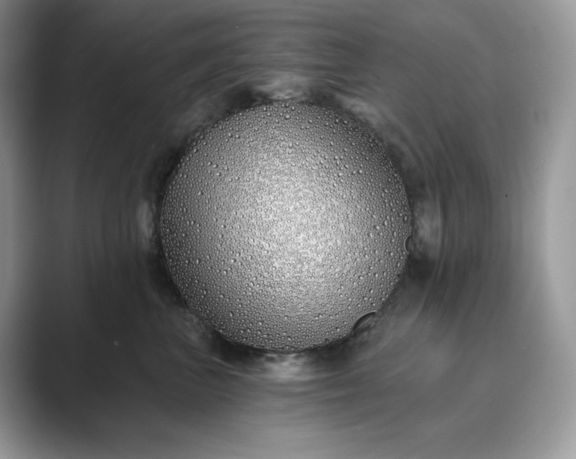 X0000089900667200707051309