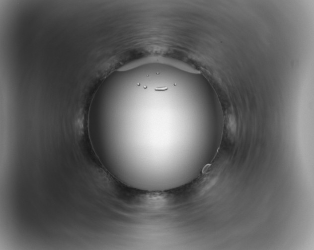 X0000089900668200707051309