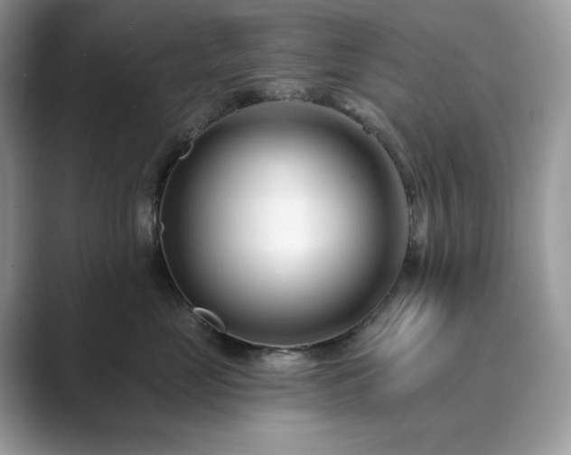 X0000089900669200707051309