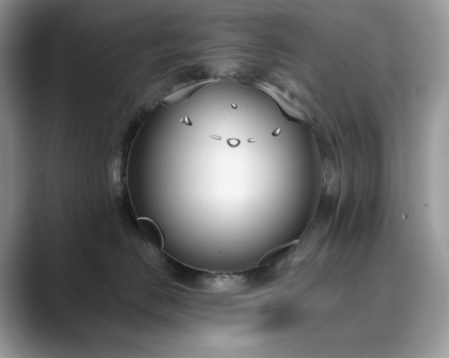 X0000089900670200707051309