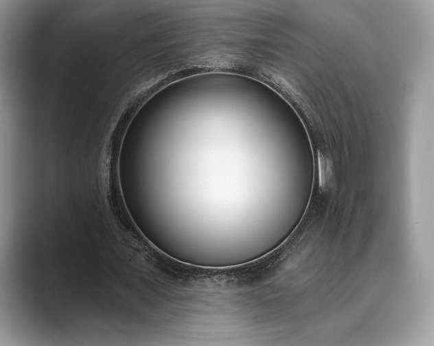 X0000089900675200707051308