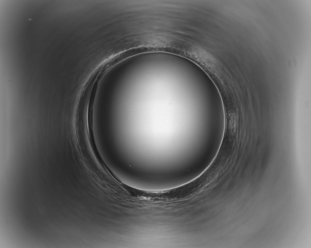 X0000089900676200707051308
