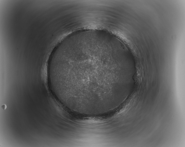 X0000089900678200707051308