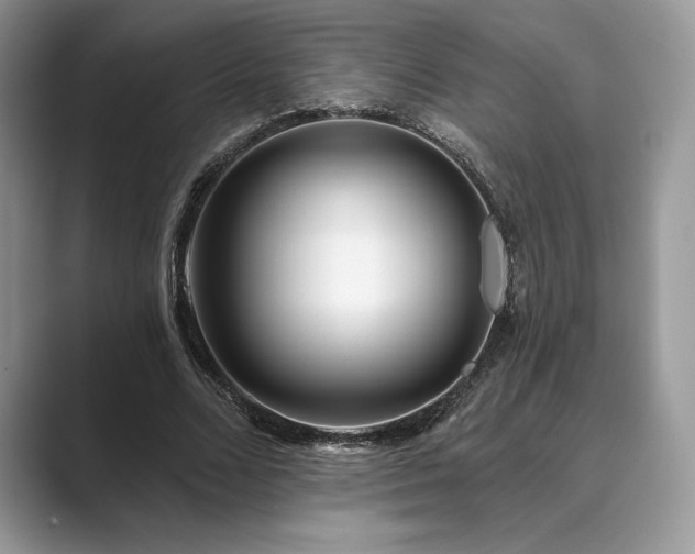 X0000089900680200707051308