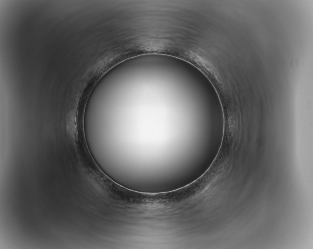 X0000089900682200707051308