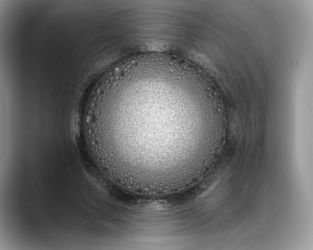 X0000089900683200707051308