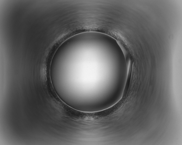 X0000089900684200707051308