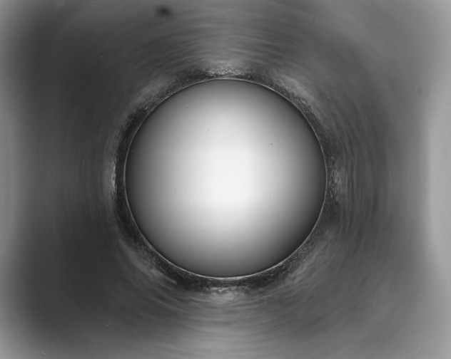 X0000089900686200707051308