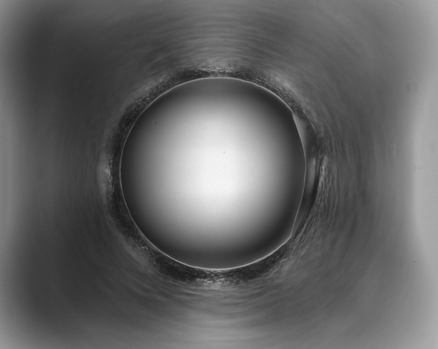 X0000089900688200707051308