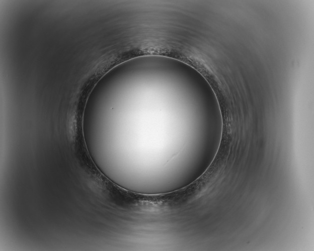 X0000089900690200707051308
