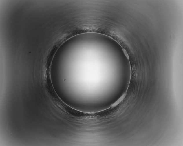 X0000089900692200707051308