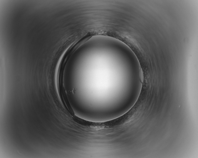 X0000089900693200707051308