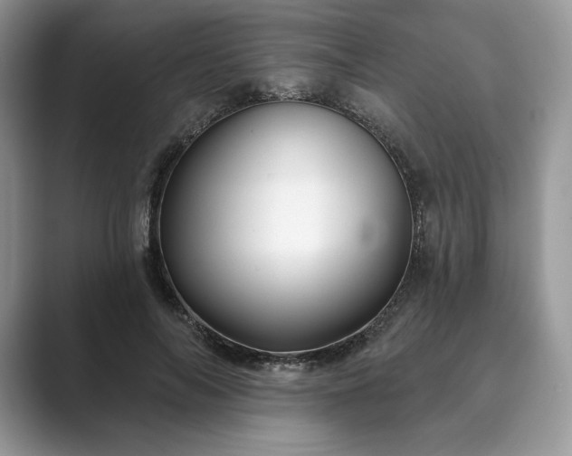 X0000089900694200707051308