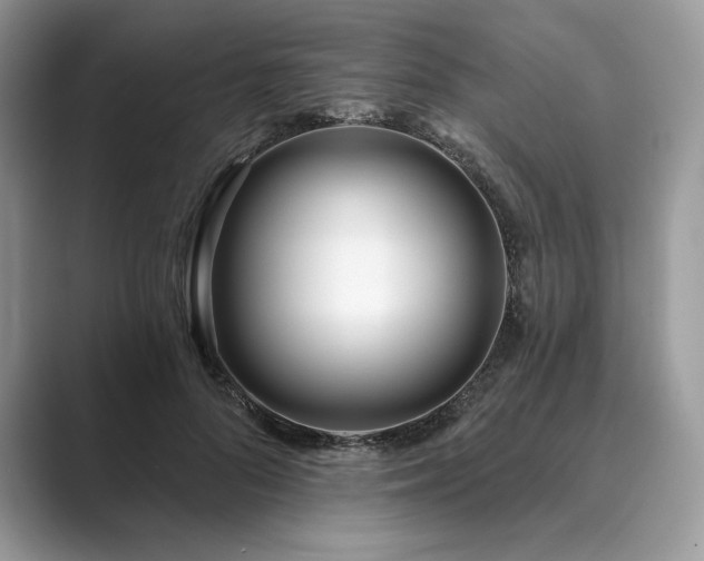 X0000089900696200707051308