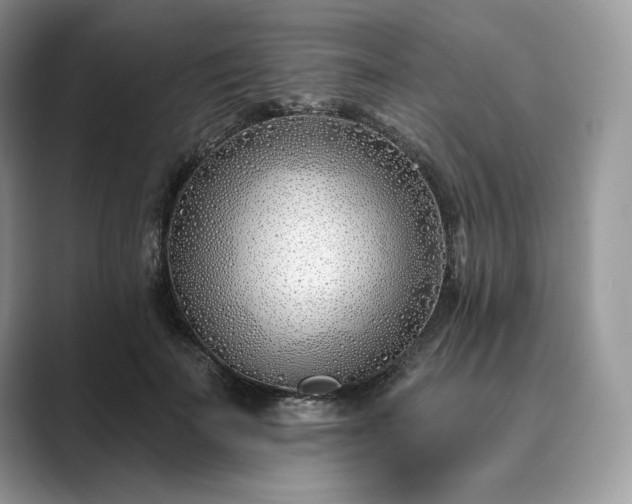 X0000089900699200707051308
