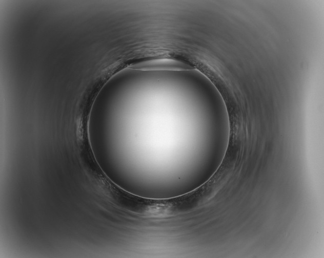 X0000089900700200707051308