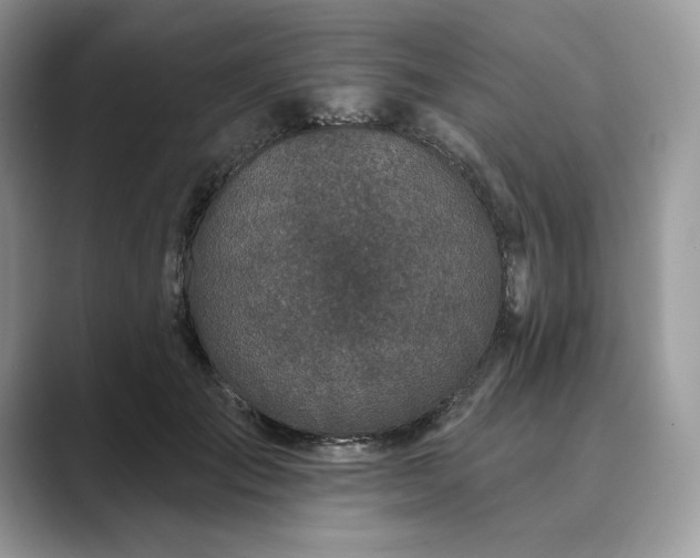 X0000089900701200707051308