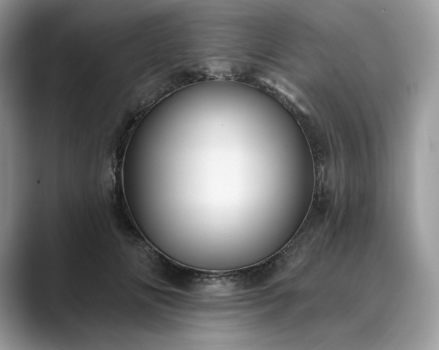 X0000089900702200707051308