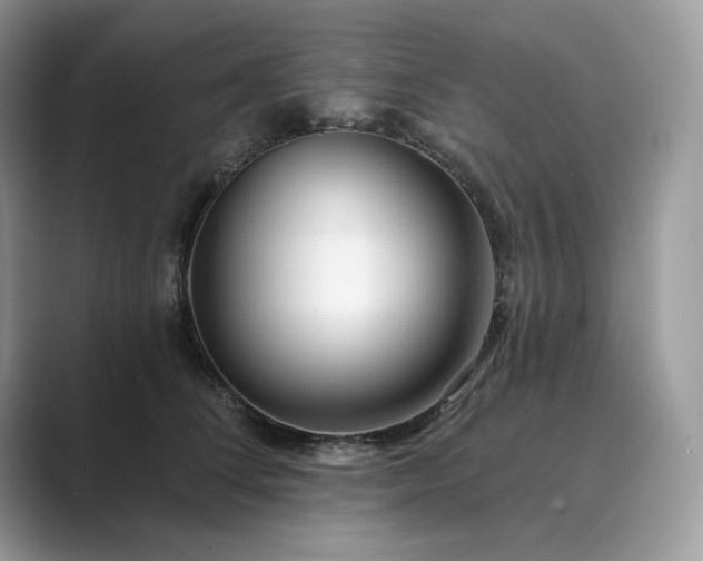 X0000089900708200707051308
