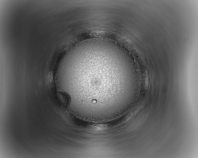 X0000089900711200707051308