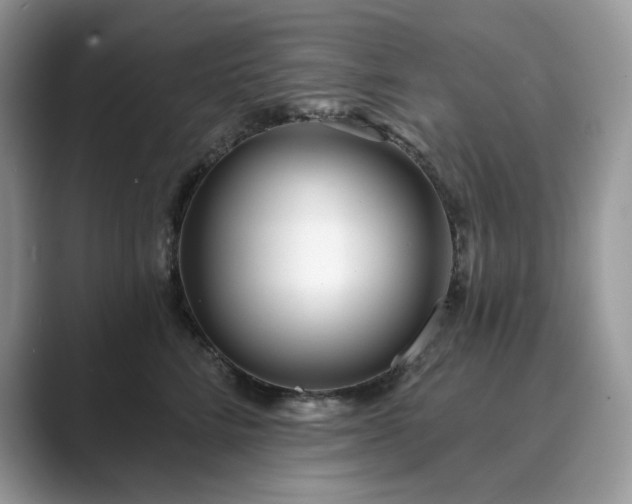 X0000089900712200707051308