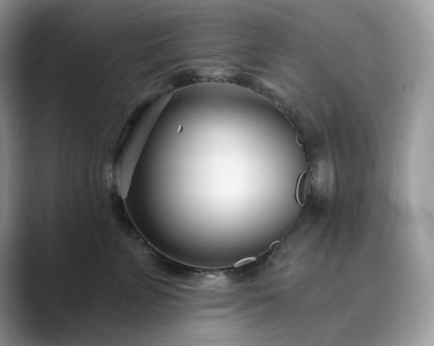 X0000089900715200707051308