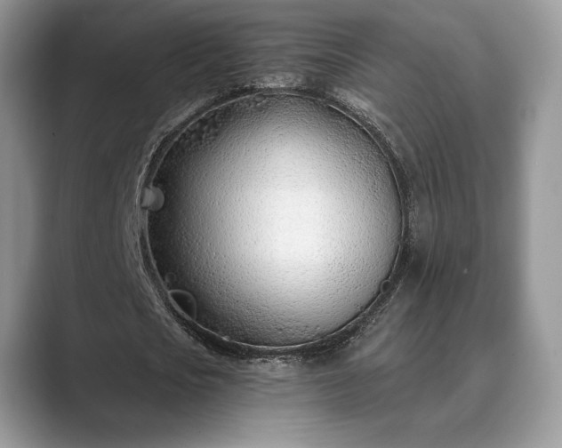 X0000089900721200707051307