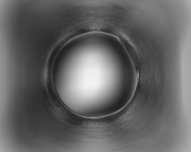 X0000089900722200707051307