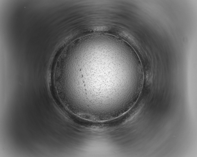 X0000089900725200707051307