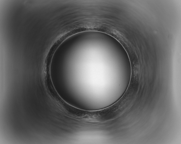 X0000089900727200707051307