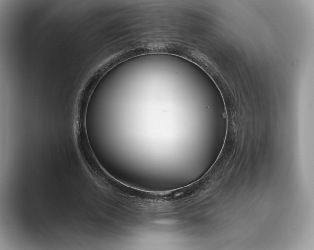 X0000089900728200707051307