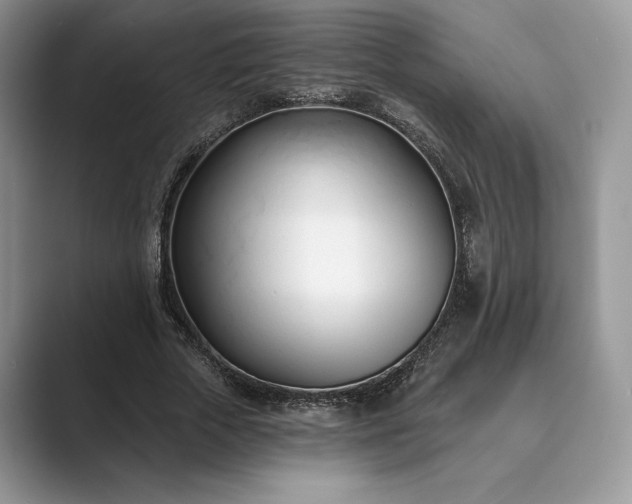 X0000089900729200707051307