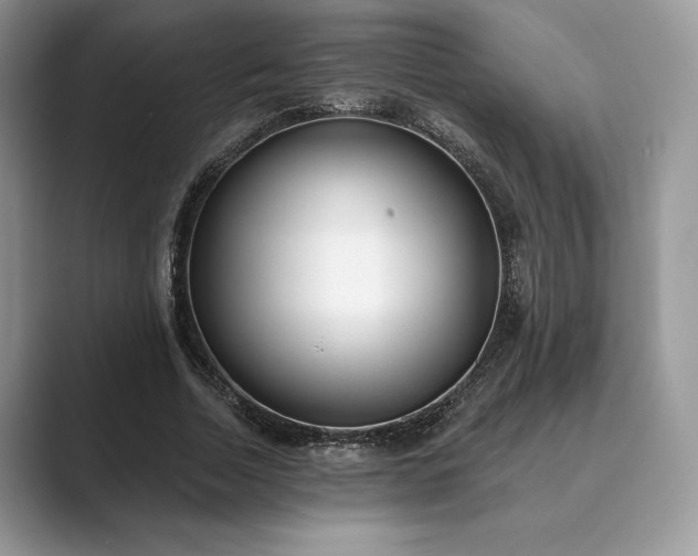 X0000089900730200707051307