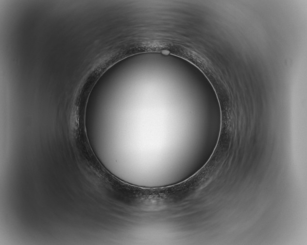 X0000089900731200707051307