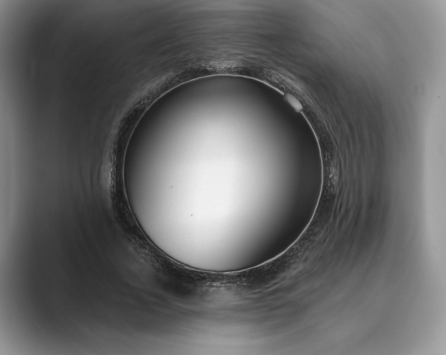 X0000089900732200707051307