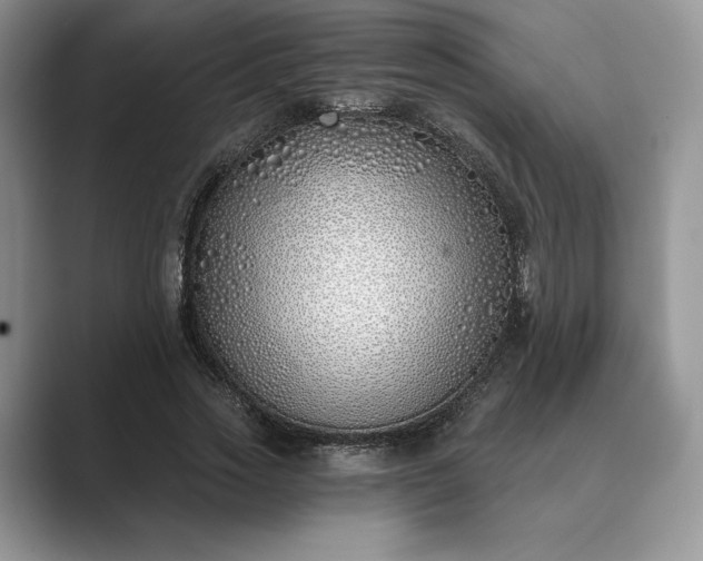 X0000089900733200707051307