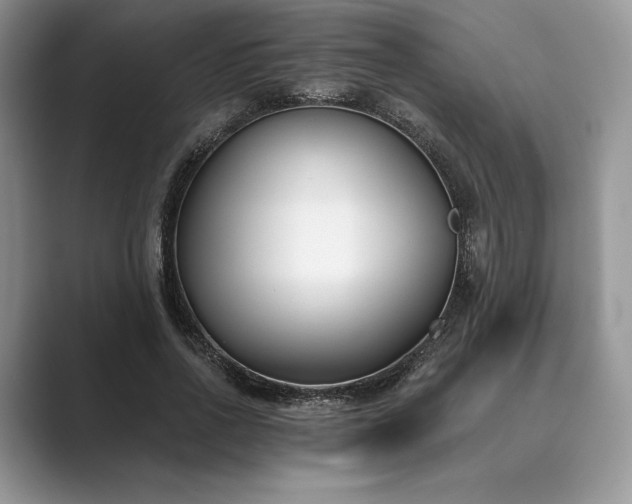 X0000089900734200707051307