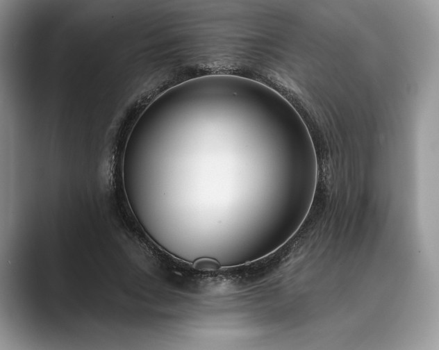 X0000089900735200707051307