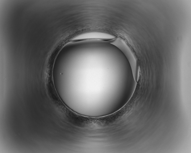 X0000089900736200707051307
