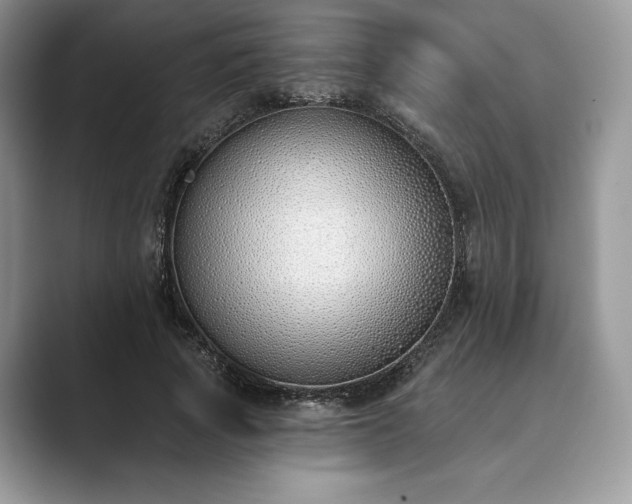 X0000089900737200707051307