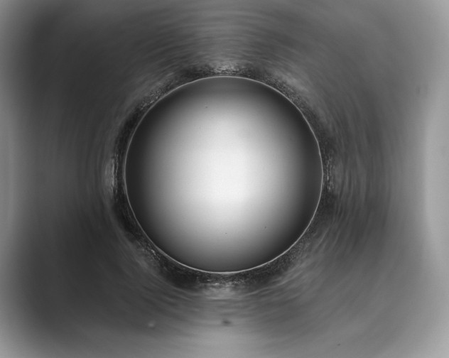 X0000089900740200707051307