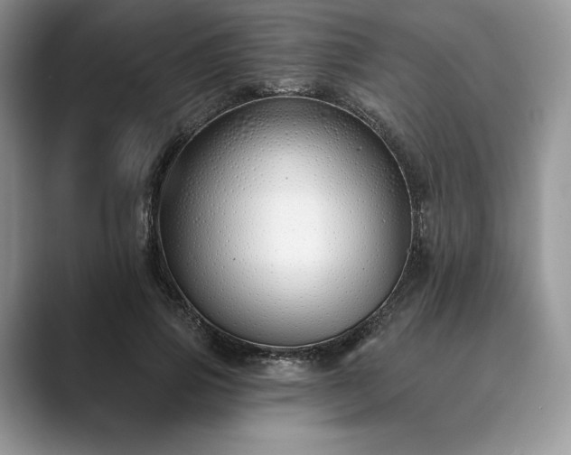 X0000089900741200707051307