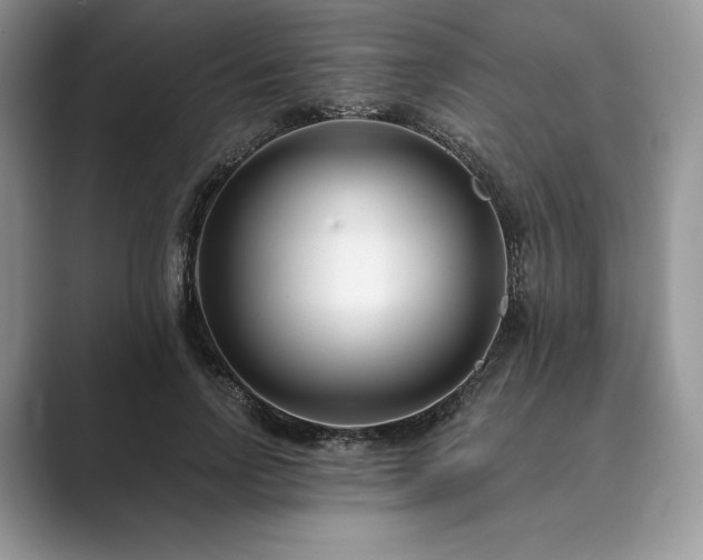 X0000089900742200707051307