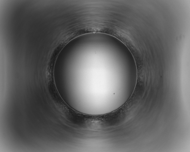 X0000089900743200707051307