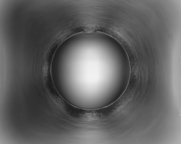 X0000089900744200707051307