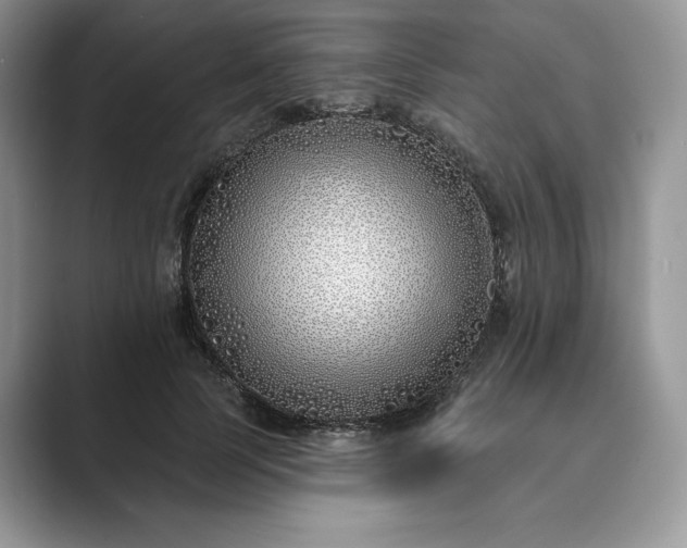 X0000089900745200707051307